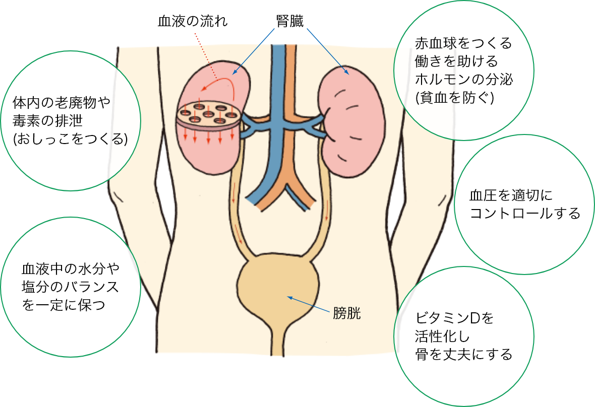 腎 不全 痒み を 抑える